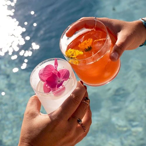 Two colorful drinks with flowers being clinked over a bright blue pool, summer vibes and cocktails in sunset light.